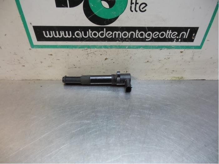 Broche bobine d'un Lancia Musa, -, 3 mois de garantie, Utilisé, -