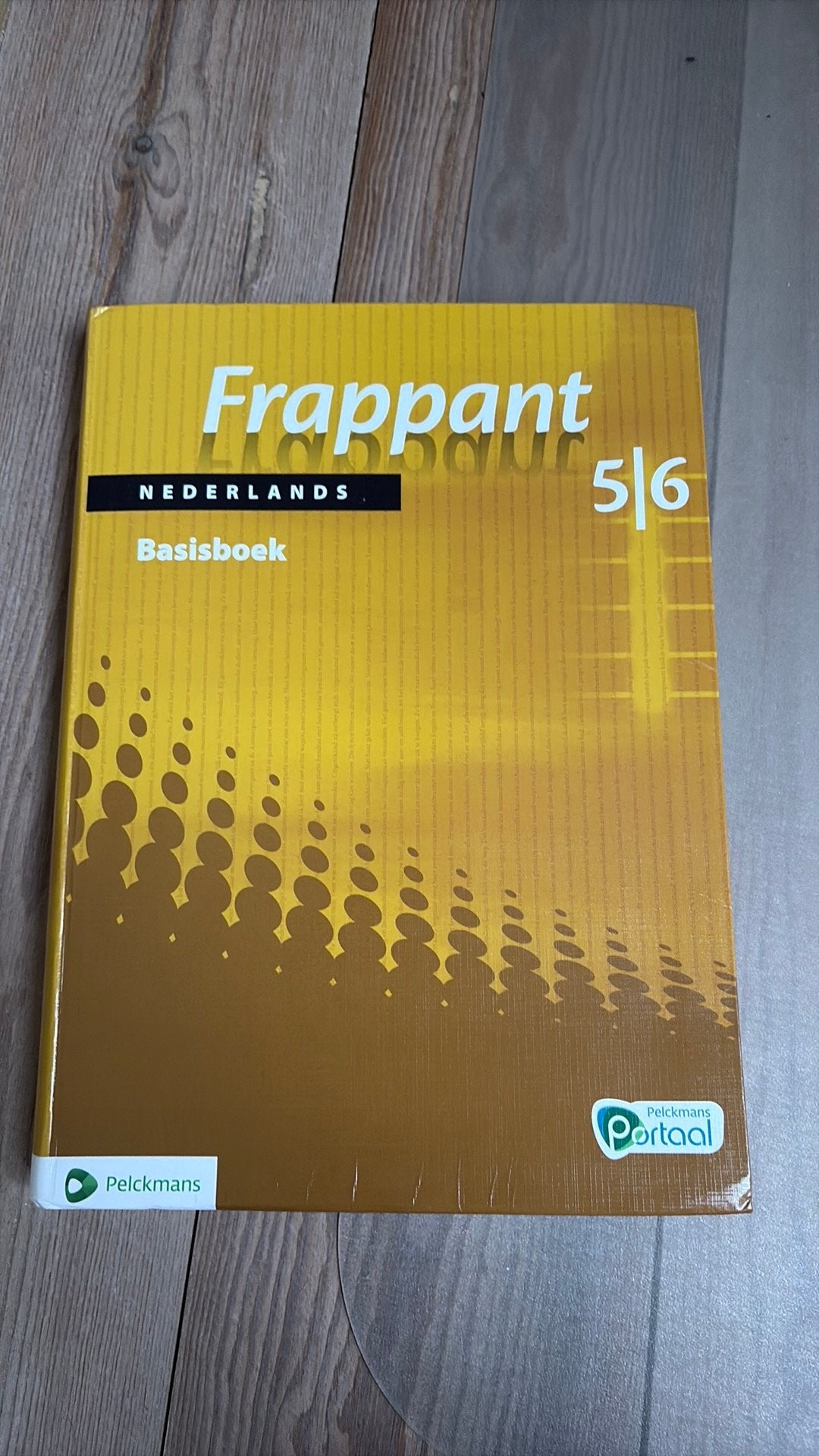 Frappant 5&6 bronnenboek, Boeken, Schoolboeken, Verzenden, Zo goed als nieuw, ASO, Nederlands