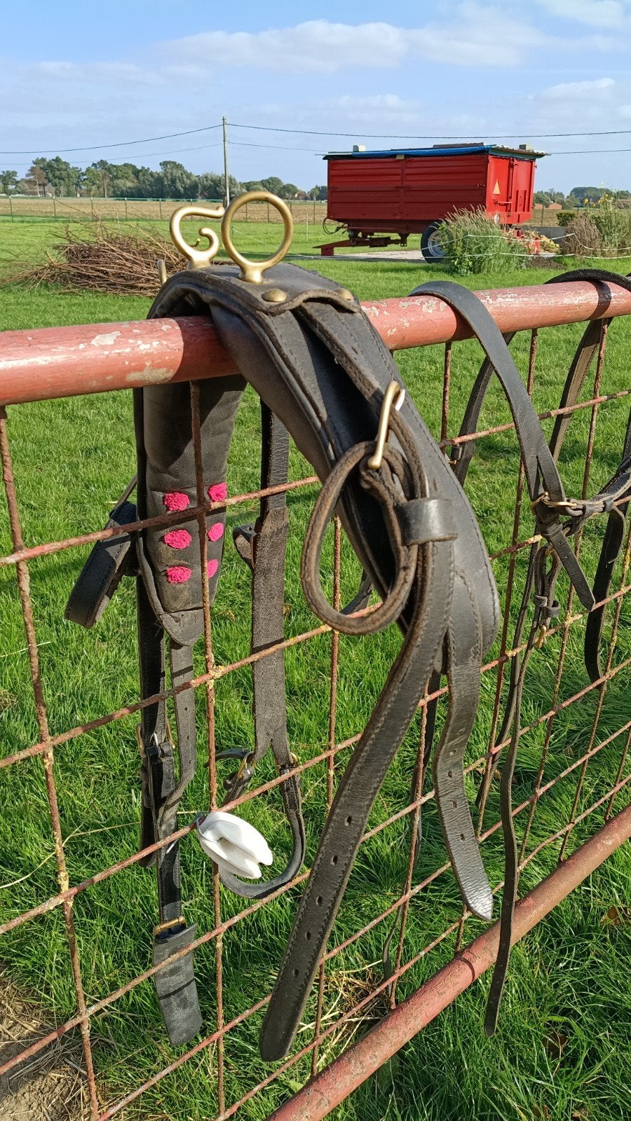 Mentuig, Gareel, koetstuigje voor mini shetlander, Dieren en Toebehoren, Ophalen, Mentuig, Mini
