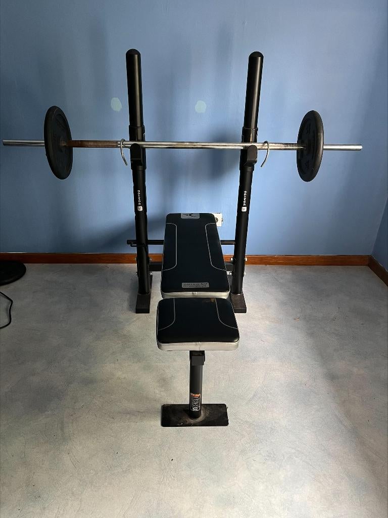 Musculation, Pectoraux, Synthétique, Enlèvement, Utilisé