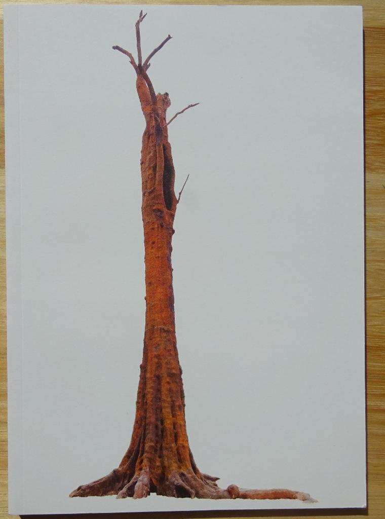 Ai Wei Wei 2021 Porto Serravelves - Catalogus, Enlèvement ou Envoi, Neuf, Sculpture