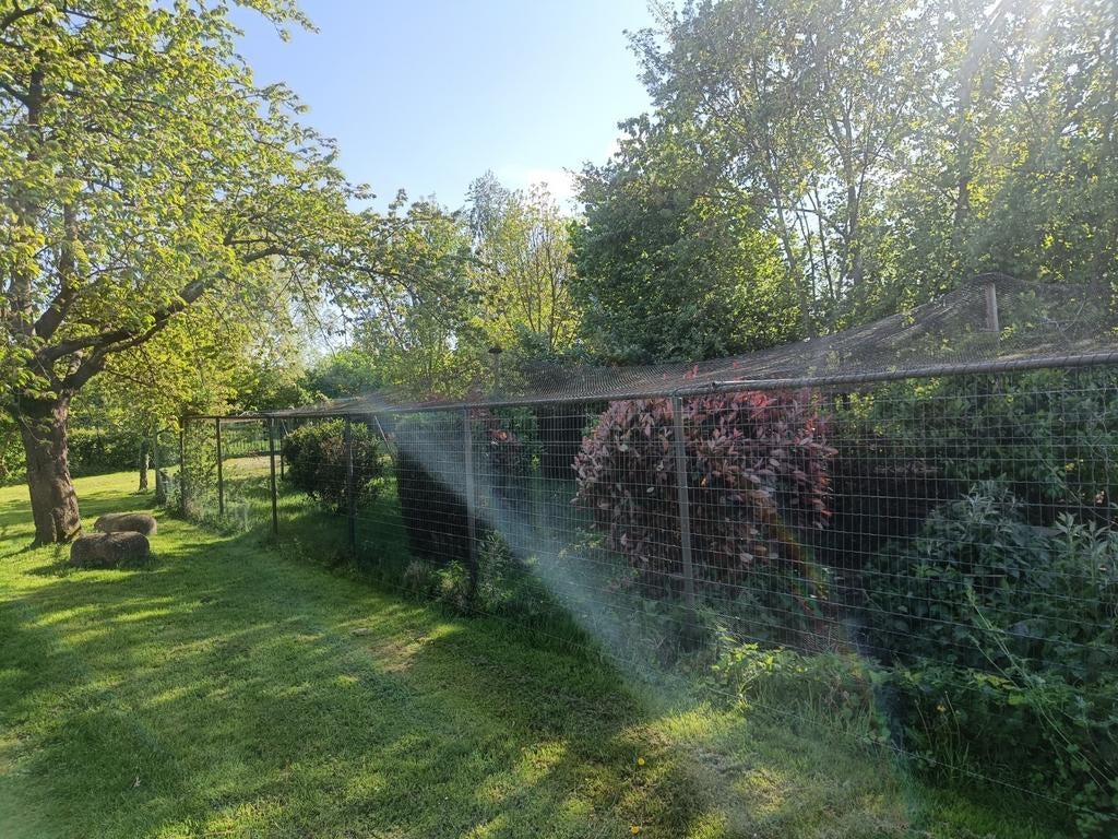 Filet pour volière, Animaux & Accessoires, Oiseaux | Cages & Volières, Enlèvement ou Envoi