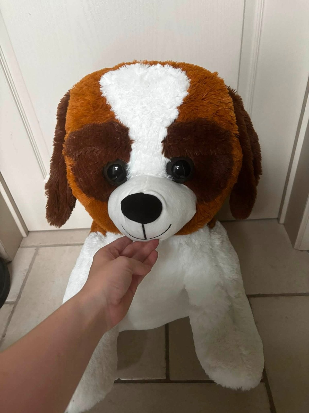 Grote hond - klein varkentje, Ophalen, Zo goed als nieuw, Hond