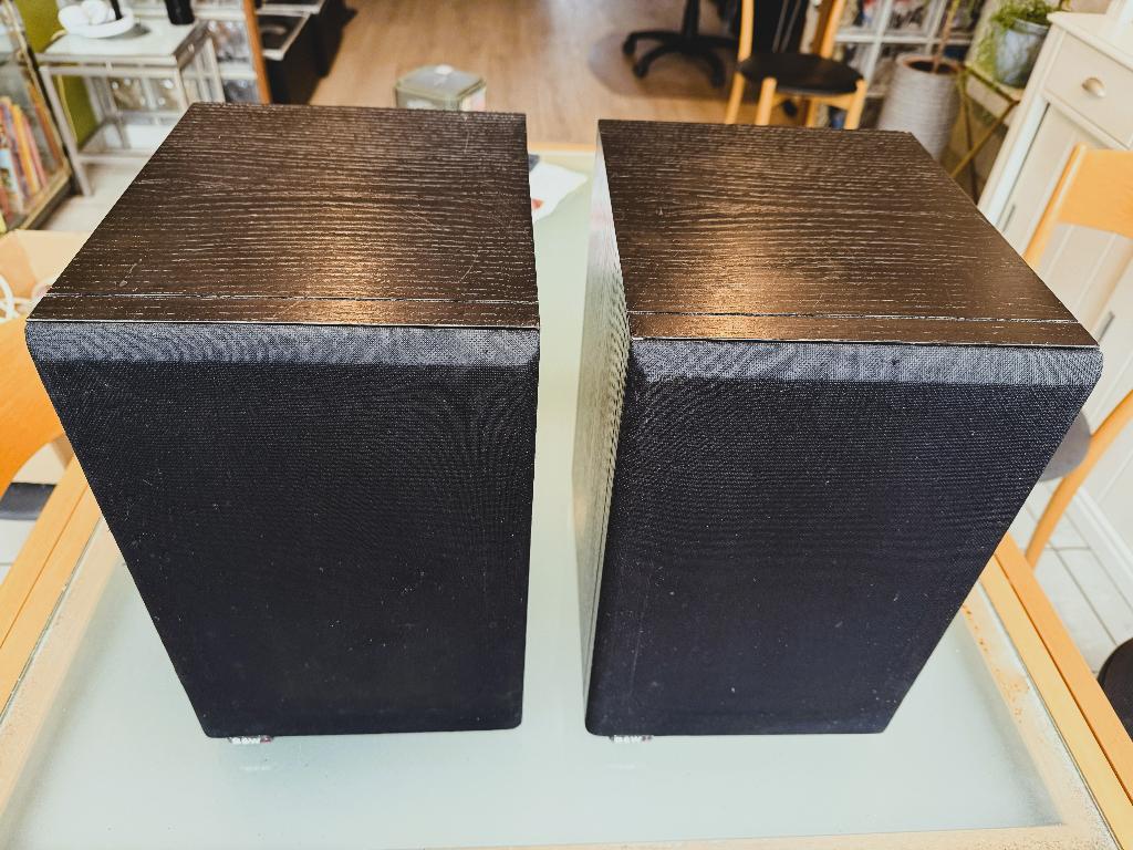 Luidsprekers B&W DM 12, Audio, Tv en Foto, Luidsprekerboxen, Ophalen, Gebruikt, 60 tot 120 watt, Bowers & Wilkins (B&W)