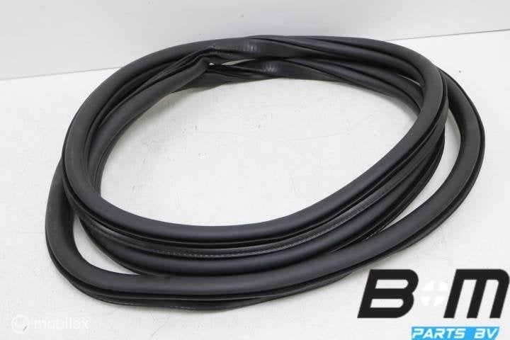 Portierrubber rechtsvoor VW Passat B8 Variant 3G0867912K, Auto-onderdelen, Interieur en Bekleding, Gebruikt