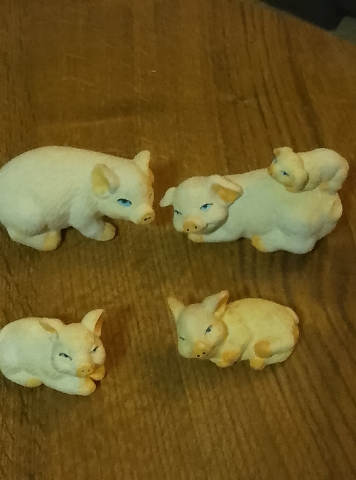 Familie varken, Ophalen
