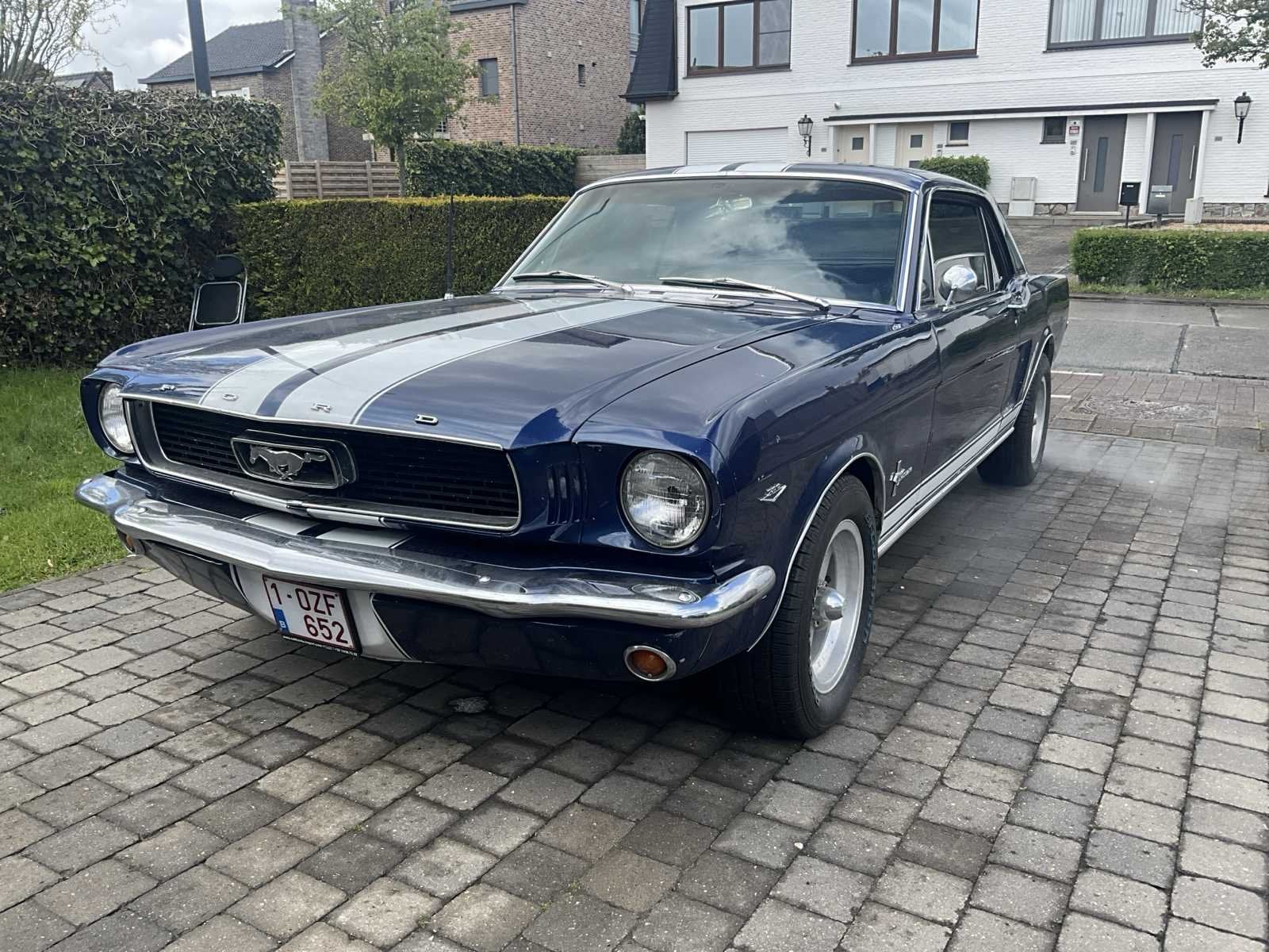 Ford mustang - 1966 - gekeurd voor verkoop, Auto's, Bedrijf, Overige carrosserie, Ford, Te koop