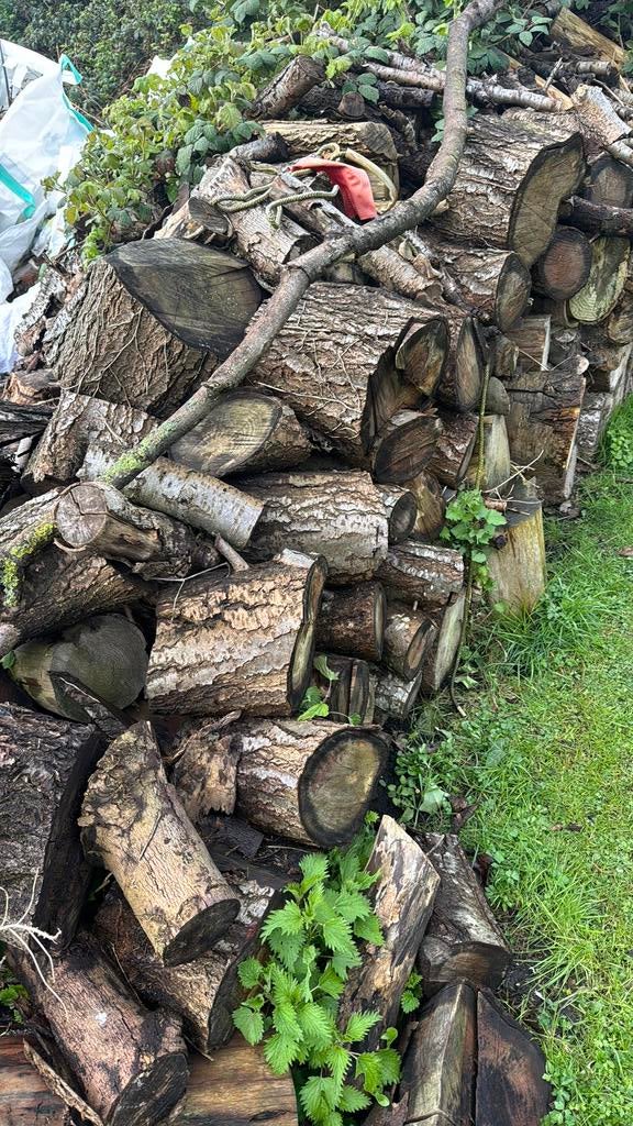 Bois a vendre, Ophalen
