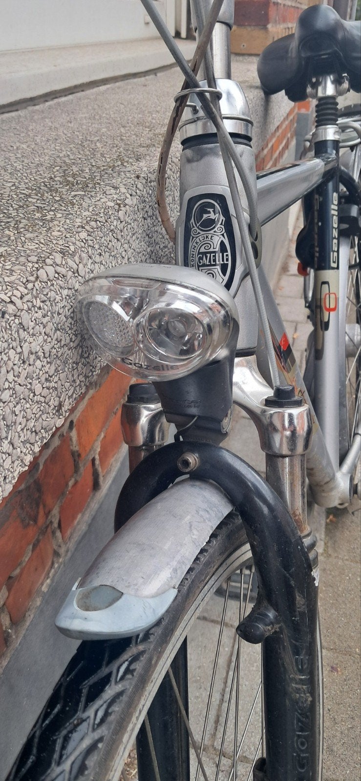 Gazelle Chamonix stadsfiets, Fietsen en Brommers, Ophalen, Jaren '20 of ouder, Schijfrem, 55 tot 59 cm