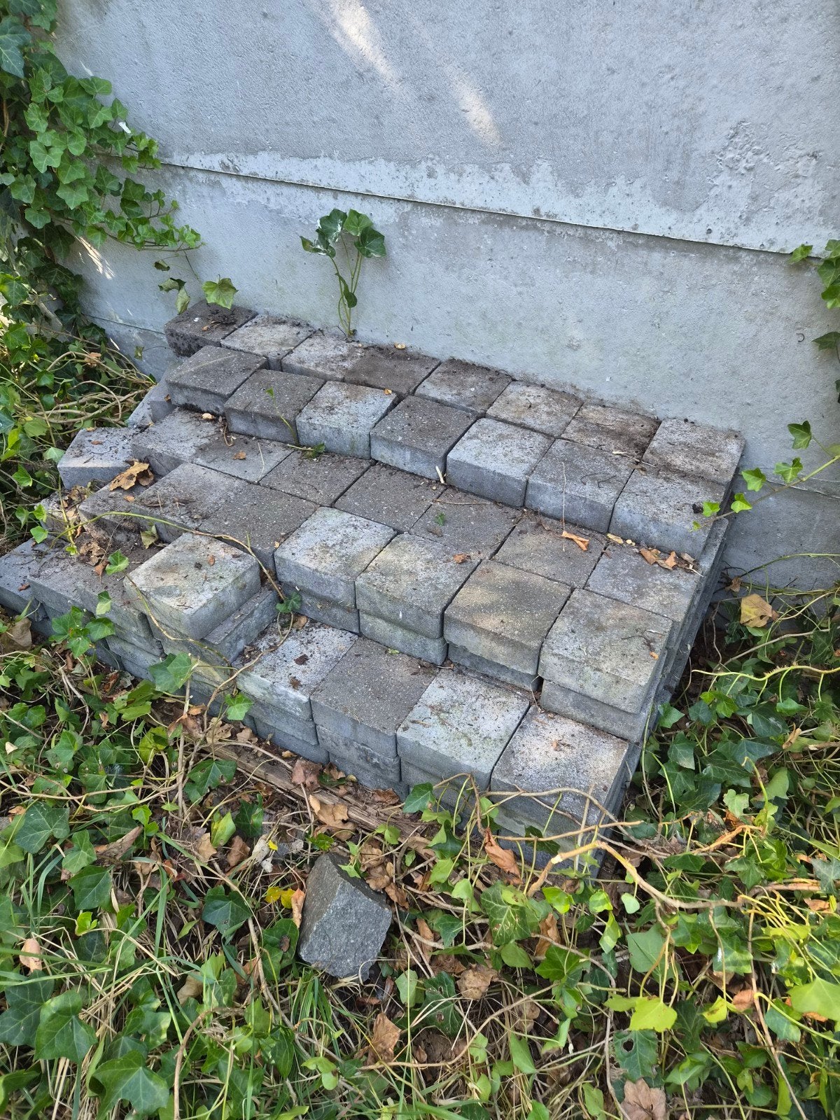 gratis klinkers 15x15 x5 dik, Ophalen, Klinkers