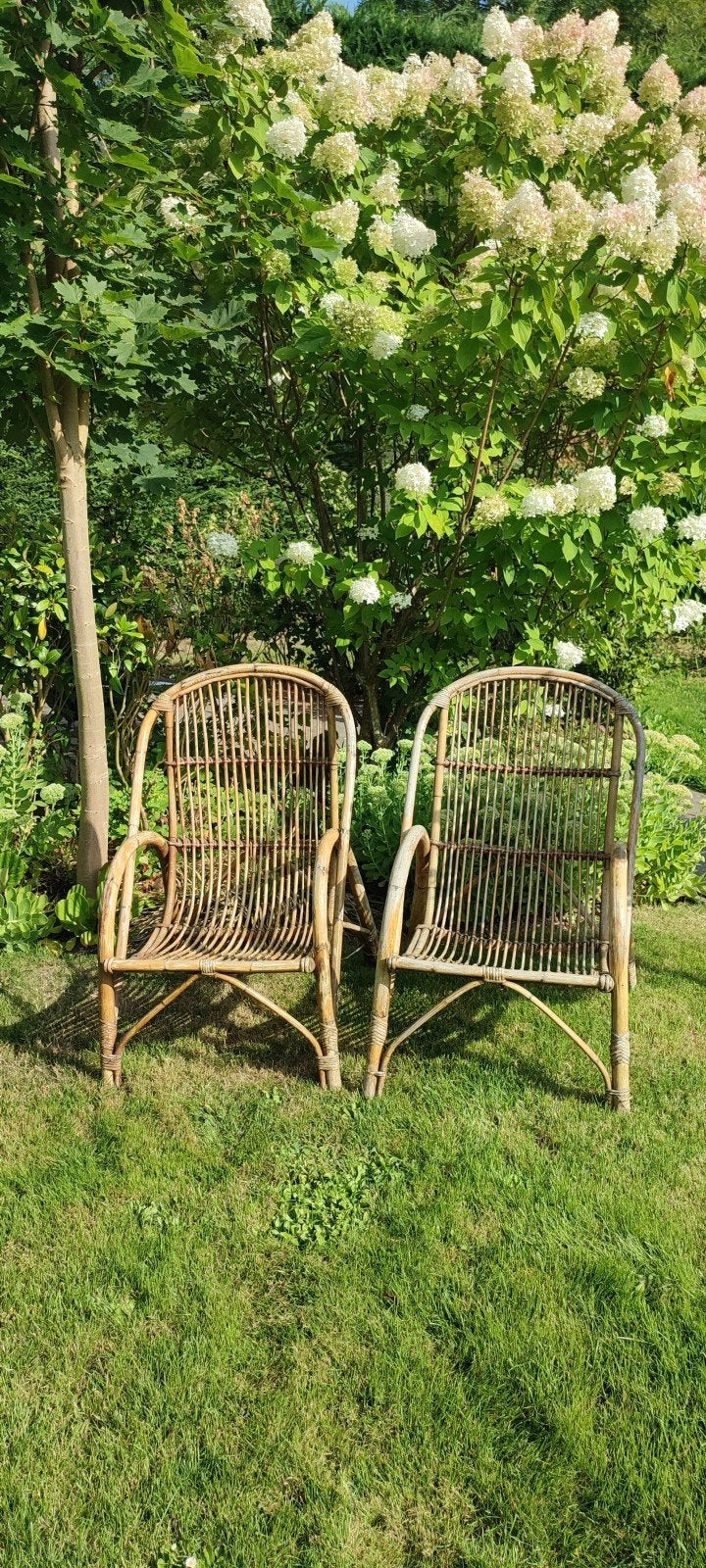 Fauteuils en osier, Jardin & Terrasse, Osier