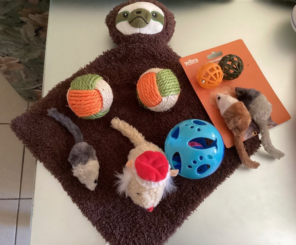 Katten speelgoed, Animaux & Accessoires, Enlèvement ou Envoi