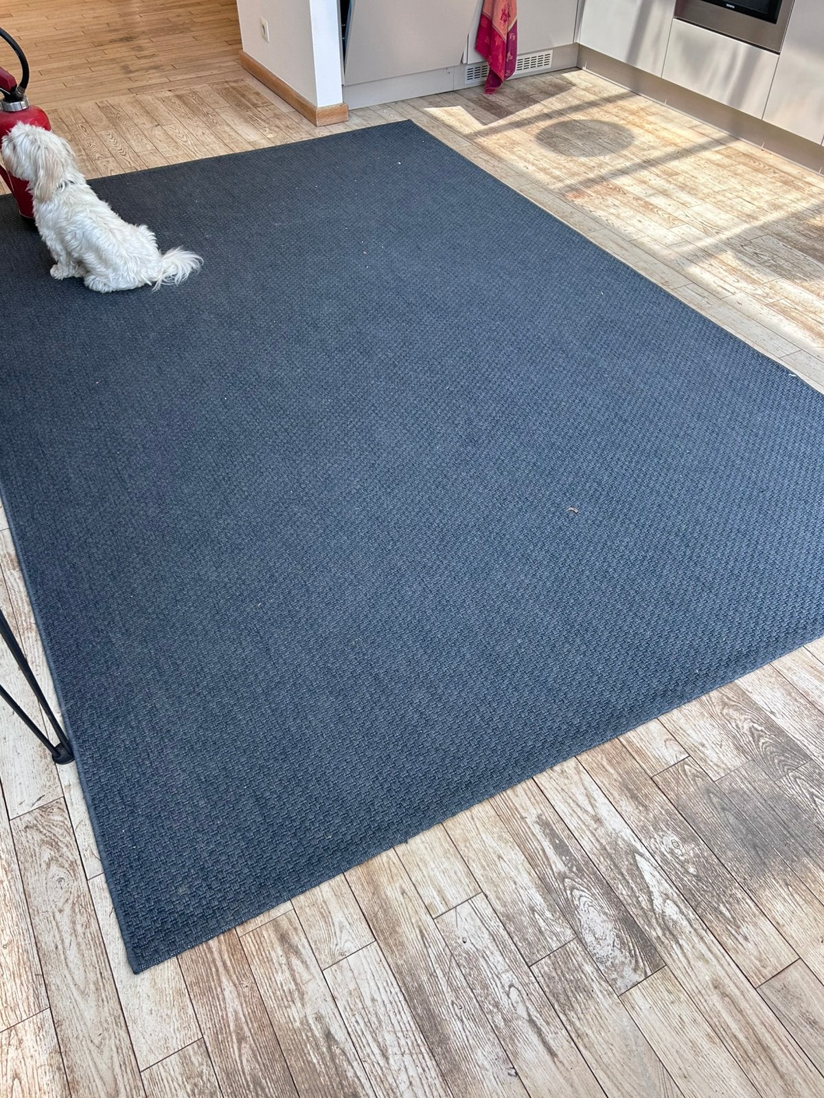 Tapis gris/bleu type cisal ikea 2x 3 m, Maison & Meubles, Ameublement | Tapis & Moquettes, Bleu, 200 cm ou plus, 150 à 200 cm