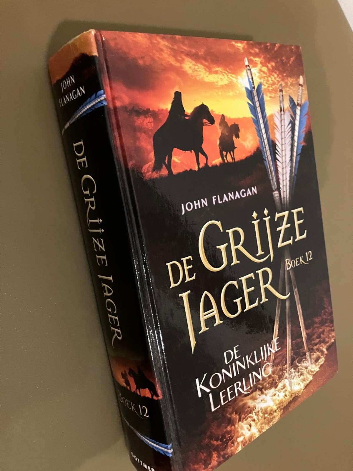 De Grijze Jager 1-12 muv deel 8, Boeken, Ophalen, Zo goed als nieuw, John Flanagan