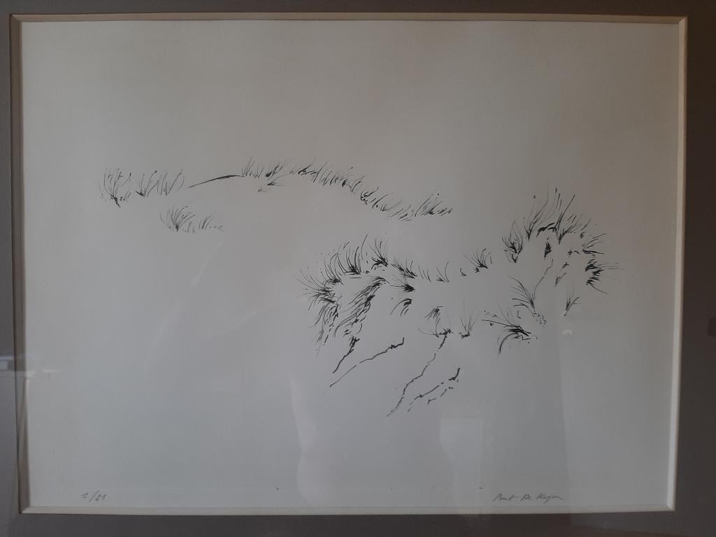 Litho Bert De Keyzer, Ophalen