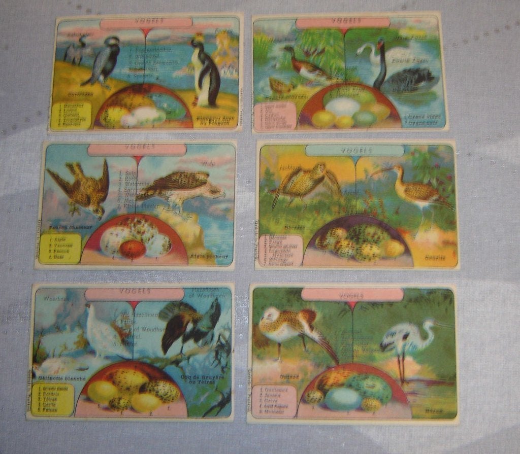 Série Chromos Tape Oiseaux, Avant 1940, Gravure, Utilisé, Autres sujets/thèmes