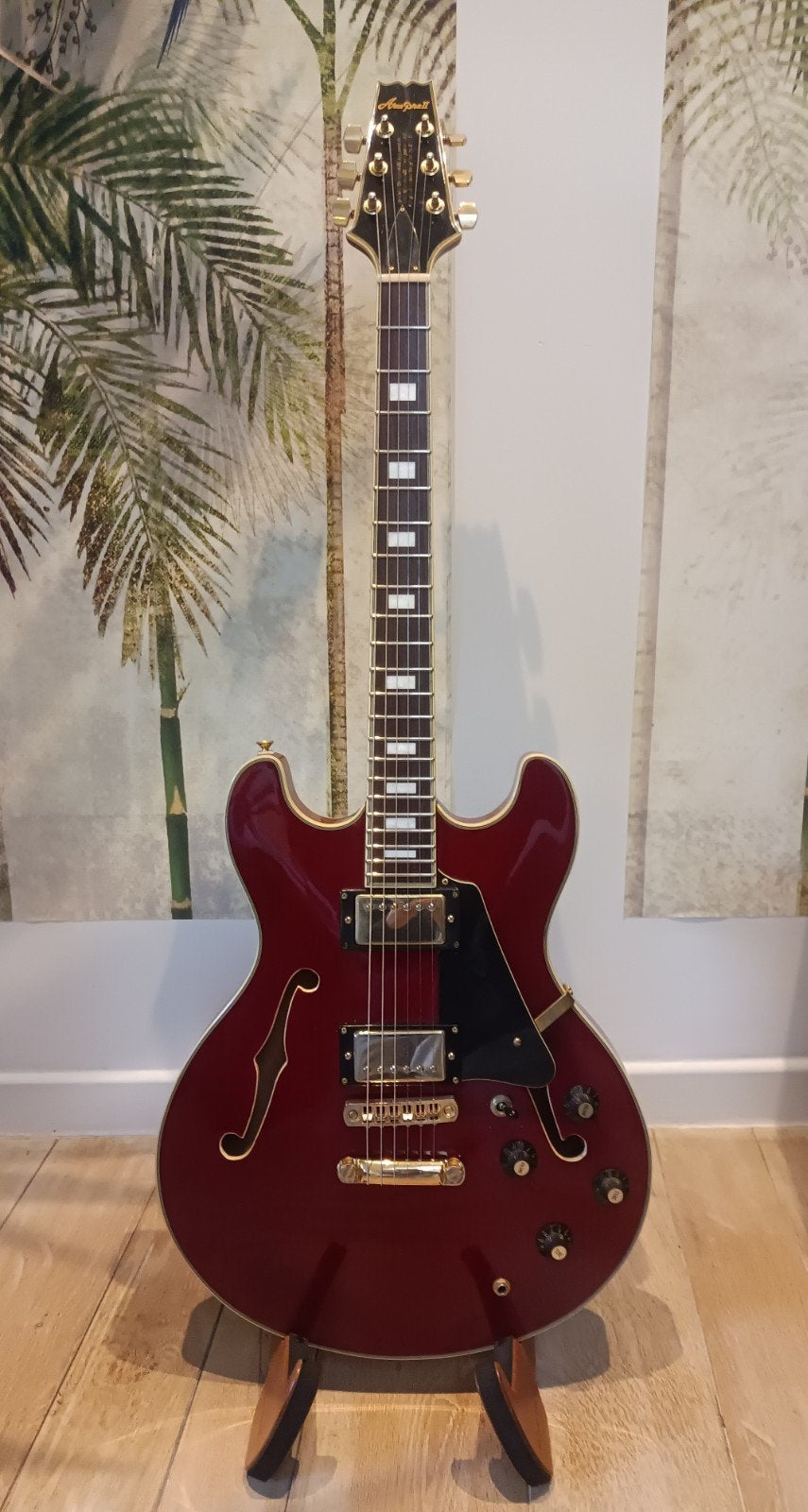Guitare électrique Aria Pro II TA-60, Enlèvement, Utilisé, Semi-solid body, Autres marques
