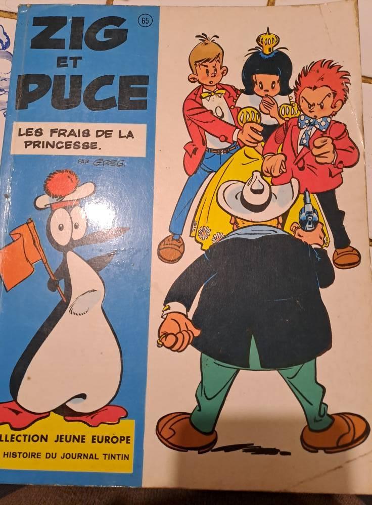 Zig et Puce les frais de la princesse (EO), Une BD, Enlèvement, Greg