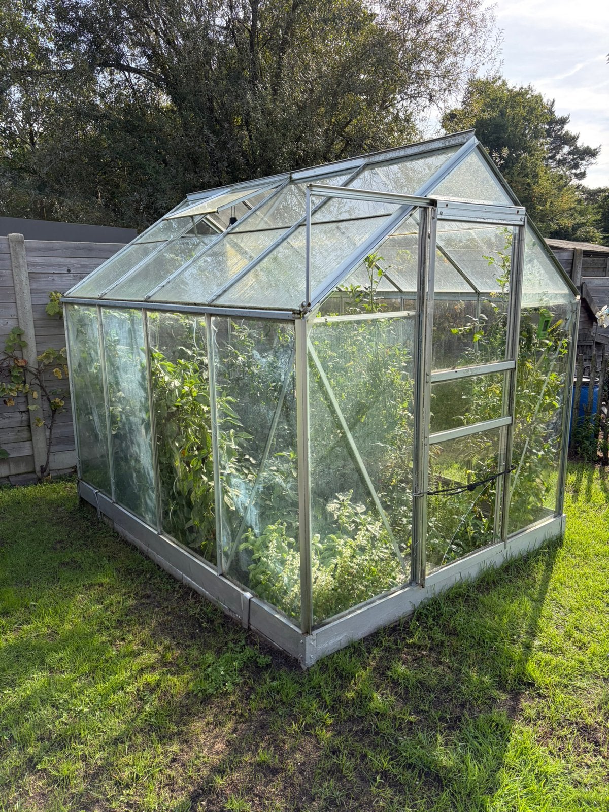 Tuinserre / glazen serre – 2,50  1,80 m, Tuin en Terras, Ophalen, Glas, Zo goed als nieuw, Aluminium