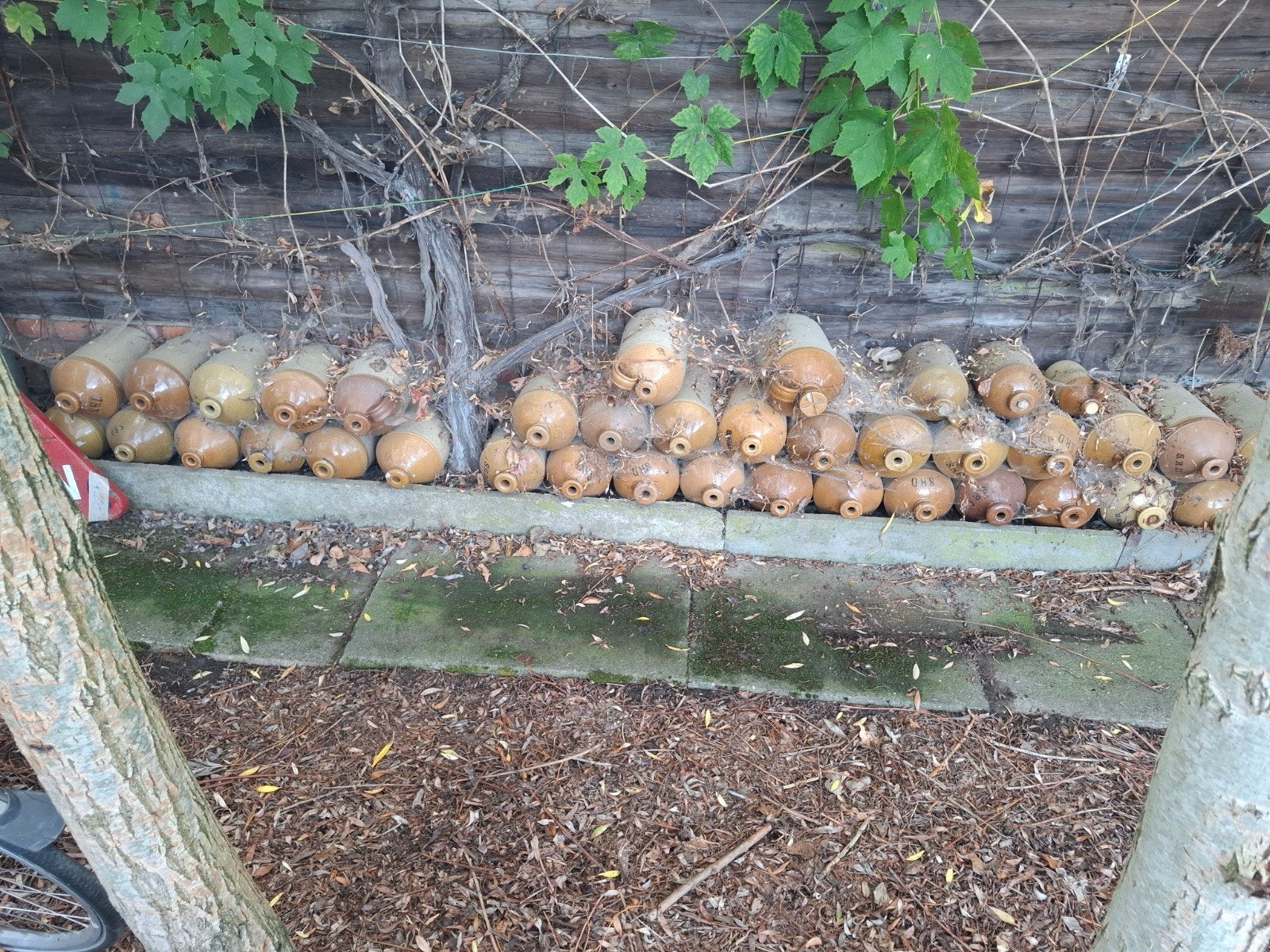 bouteilles rouges de la guerre, Enlèvement