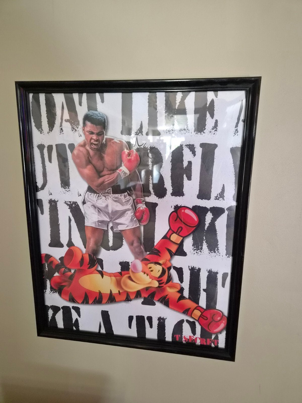 2 mooie gelijste posters, Verzamelen, Ophalen