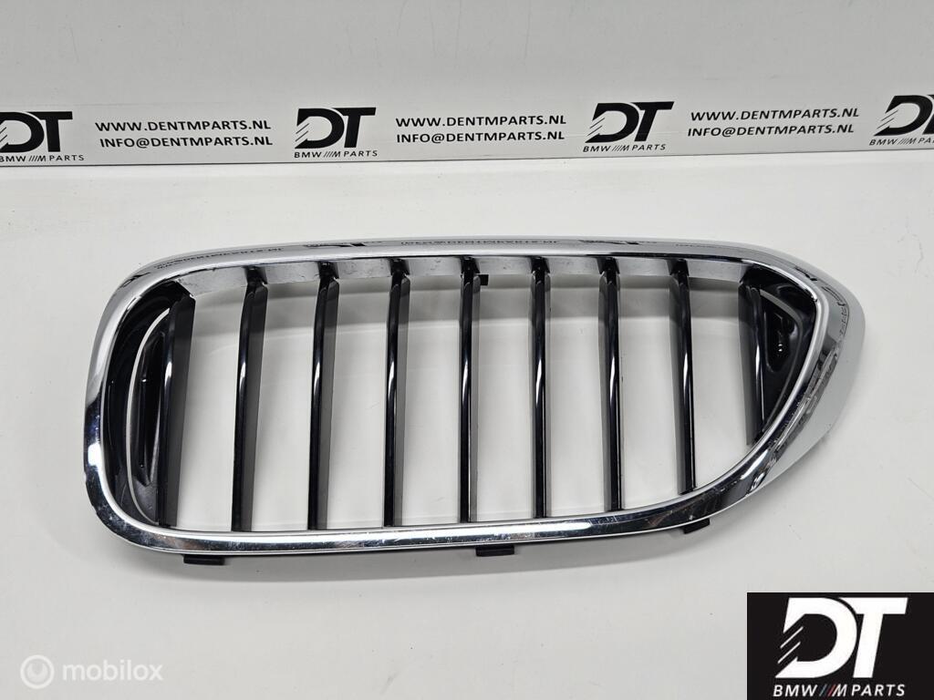 Grille links BMW 5-serie G30 G31 51137390863, Gebruikt, Ophalen of Verzenden, BMW, BMW