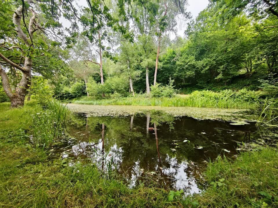 Terrain « ZONE FORESTIÈRE »  à vendre ou à louer avec Étang, Immo, Terrains & Terrains à bâtir, Jusqu'à 200 m²
