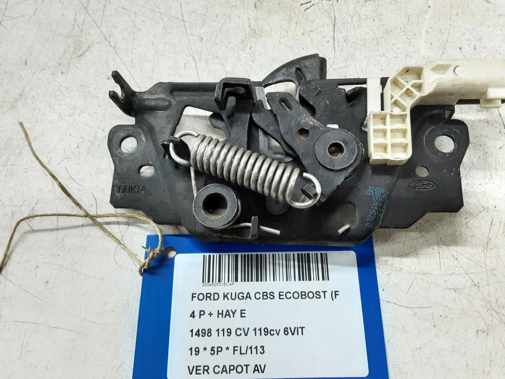 MOTORKAP SLOT Ford Kuga II (DM2) (BM5A16700), Auto-onderdelen, Gebruikt, Mevr. I. Hauben, Ford, Rue de l'Espoir 34 34
4030  GRIVEGNÉE, BE