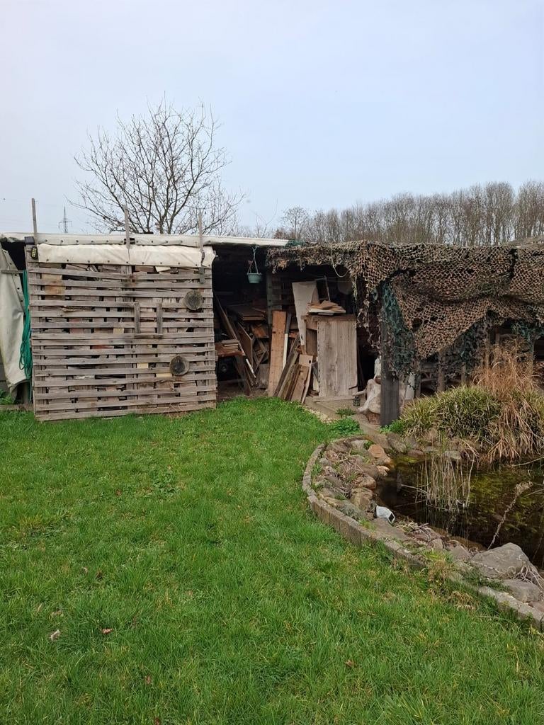 Brandhout te koop  eik beuk es dennen regio rijkevorsel, Ophalen