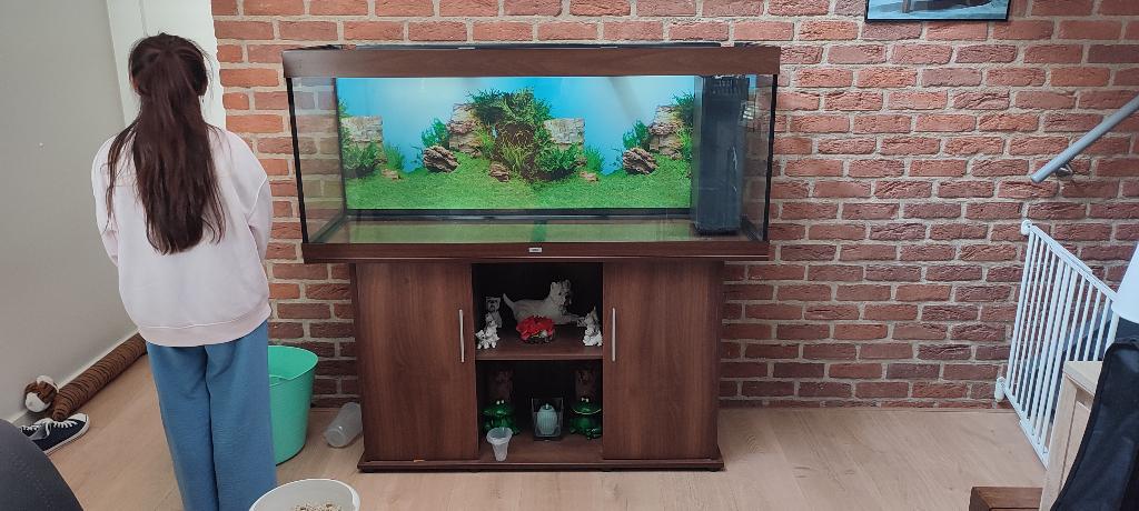 Aquarium met meubel Juwel, Meuble d'aquarium, Enlèvement, Utilisé, Juwel