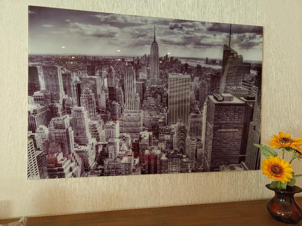 Glazen paneel NY, Comme neuf, Enlèvement, Autres types, 75 cm ou plus