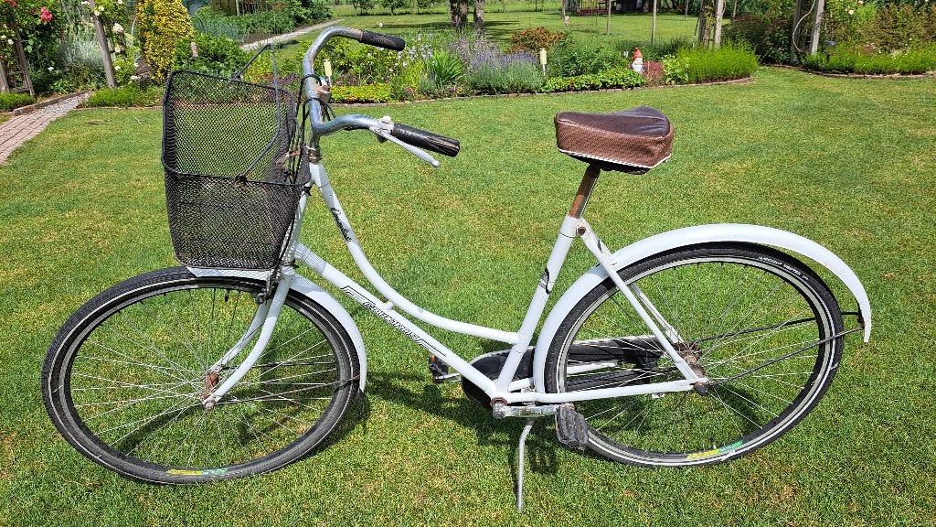 vintage dames fiets, Ophalen, Gebruikt, Terugtraprem, Handrem