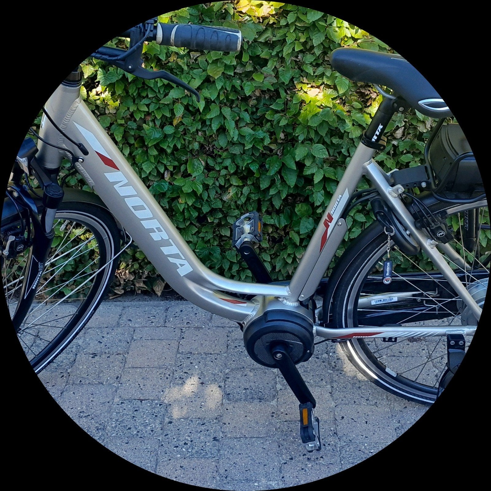 vrouwen fiets elektrische Norta M 700, Ophalen