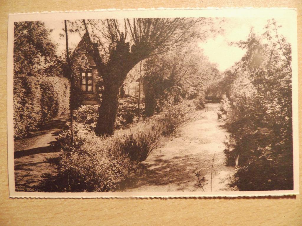 postkaart Sint-Niklaas, Verzamelen, Ophalen of Verzenden, Voor 1920, Ongelopen, Oost-Vlaanderen
