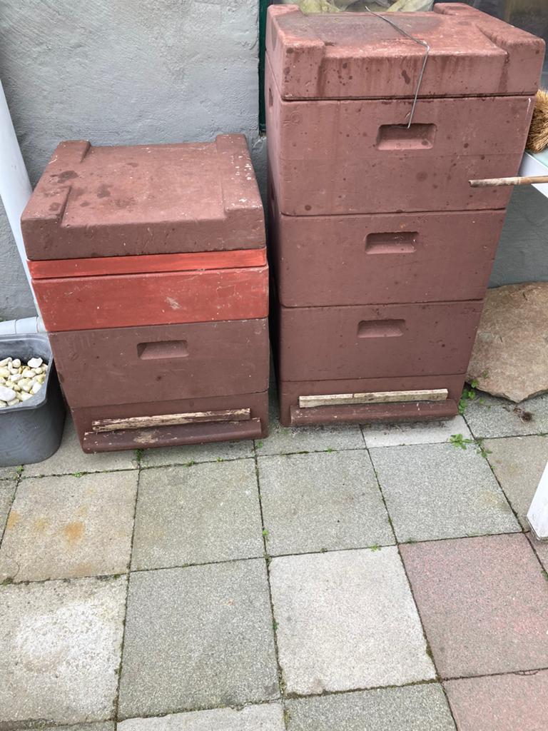 Gereserveerd: Bijenkast Segeberger, Dieren en Toebehoren, Bijen