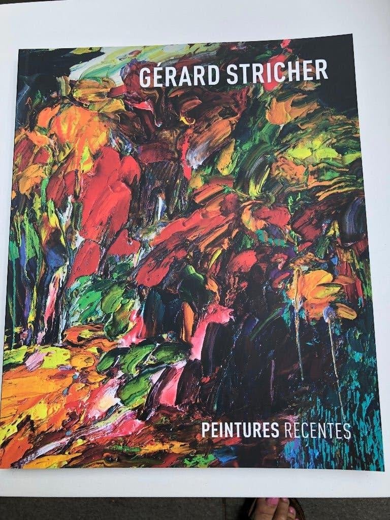 Kunstboek Gerard Sticher, Boeken, Kunst en Cultuur | Fotografie en Design, Ophalen, Nieuw