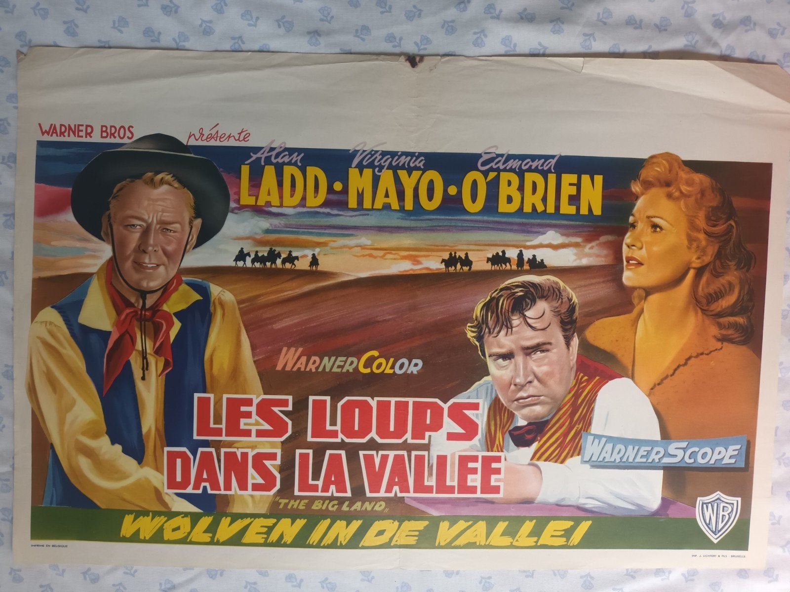 filmposter wolven in de vallei, Verzamelen, Posters, Gebruikt, Verzenden, Rechthoekig Liggend, A1 t/m A3