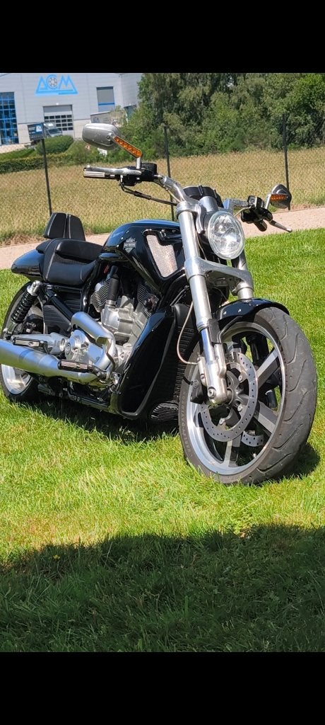 V rod muscle Harley Davidson, Motoren, Particulier, Chopper