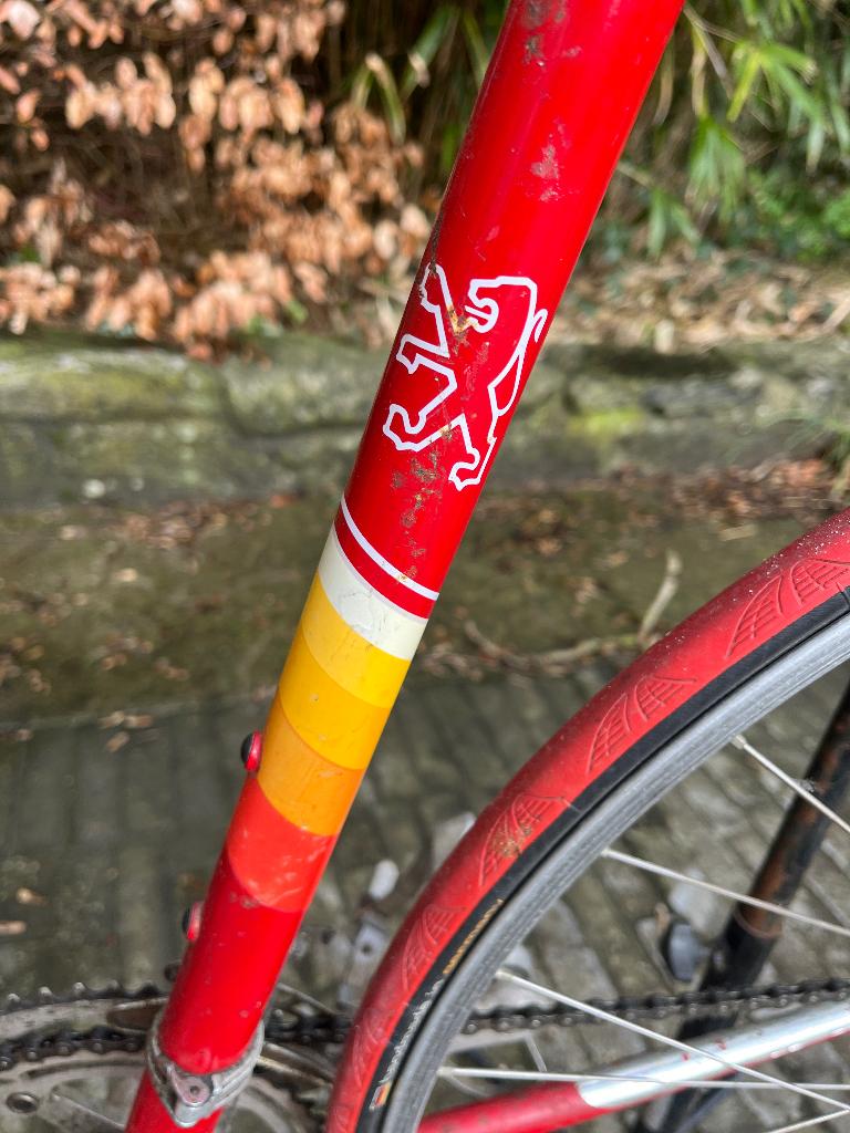 retro peugeot koersfiets, 55 à 59 cm, Enlèvement, Peugeot, Années 60 ou plus récent