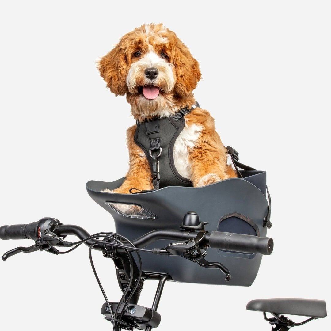fiets hondenmand, Ophalen, Zo goed als nieuw, Fietsmand, Stuurbevestiging