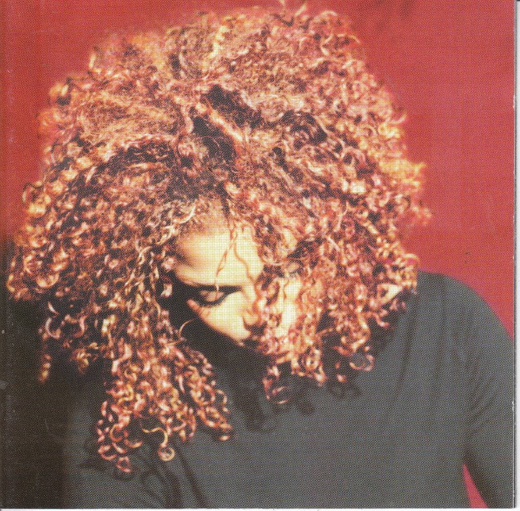The Velvet Rope van Janet Jackson, CD & DVD, CD | Pop, Envoi