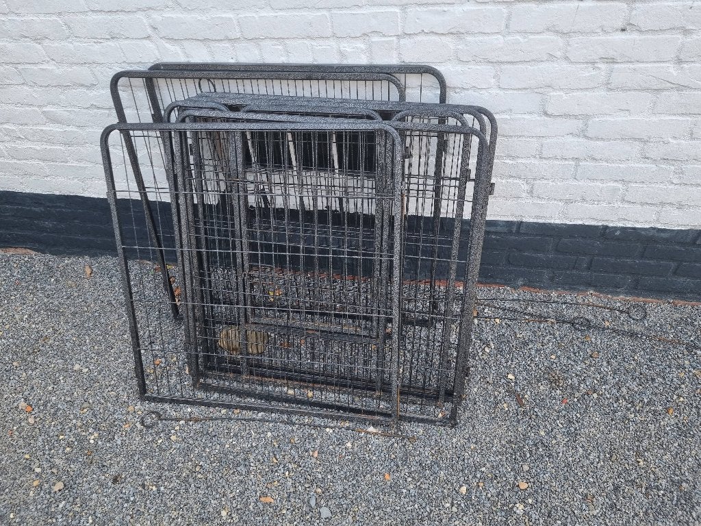 Honden ren, Dieren en Toebehoren, Ophalen, Gebruikt, 75 tot 110 cm, 65 tot 100 cm