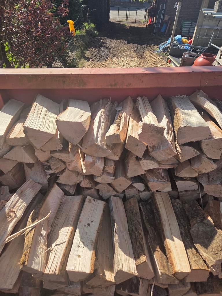 Bois chauffage pour l'hiver prochain, 6 m³ ou plus, Enlèvement, Autres essences de bois, Bûches