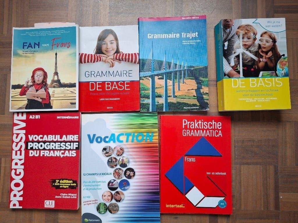 Handboeken opleiding leerkracht lager onderwijs, Ophalen of Verzenden, Zo goed als nieuw, Hogeschool