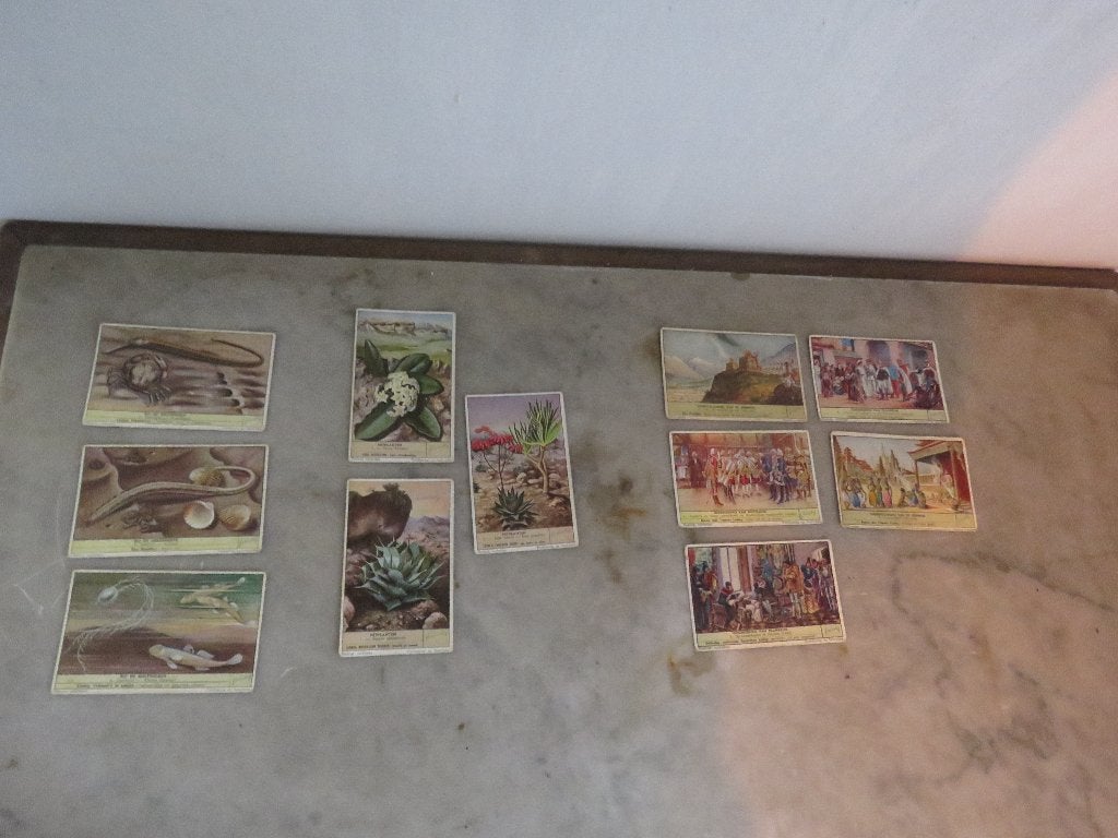 Liebig Chromo's Varia lot de 11 pièces, Enlèvement ou Envoi