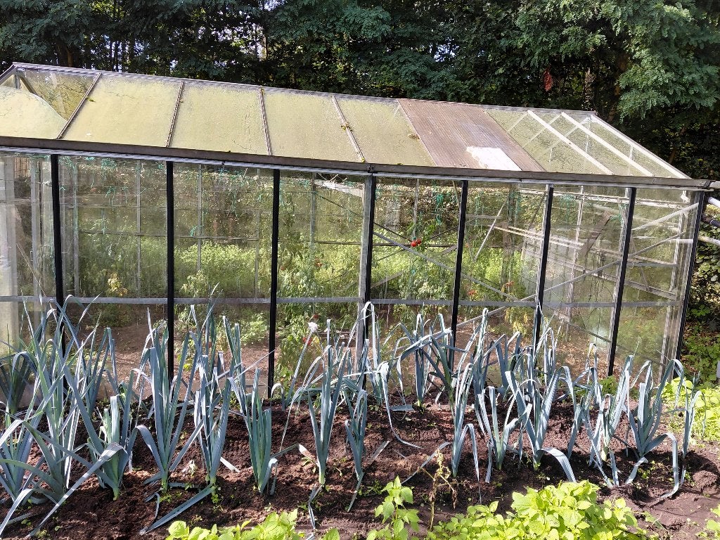 Serre, Tuin en Terras, Ophalen, Gebruikt, Kweekkas, Glas