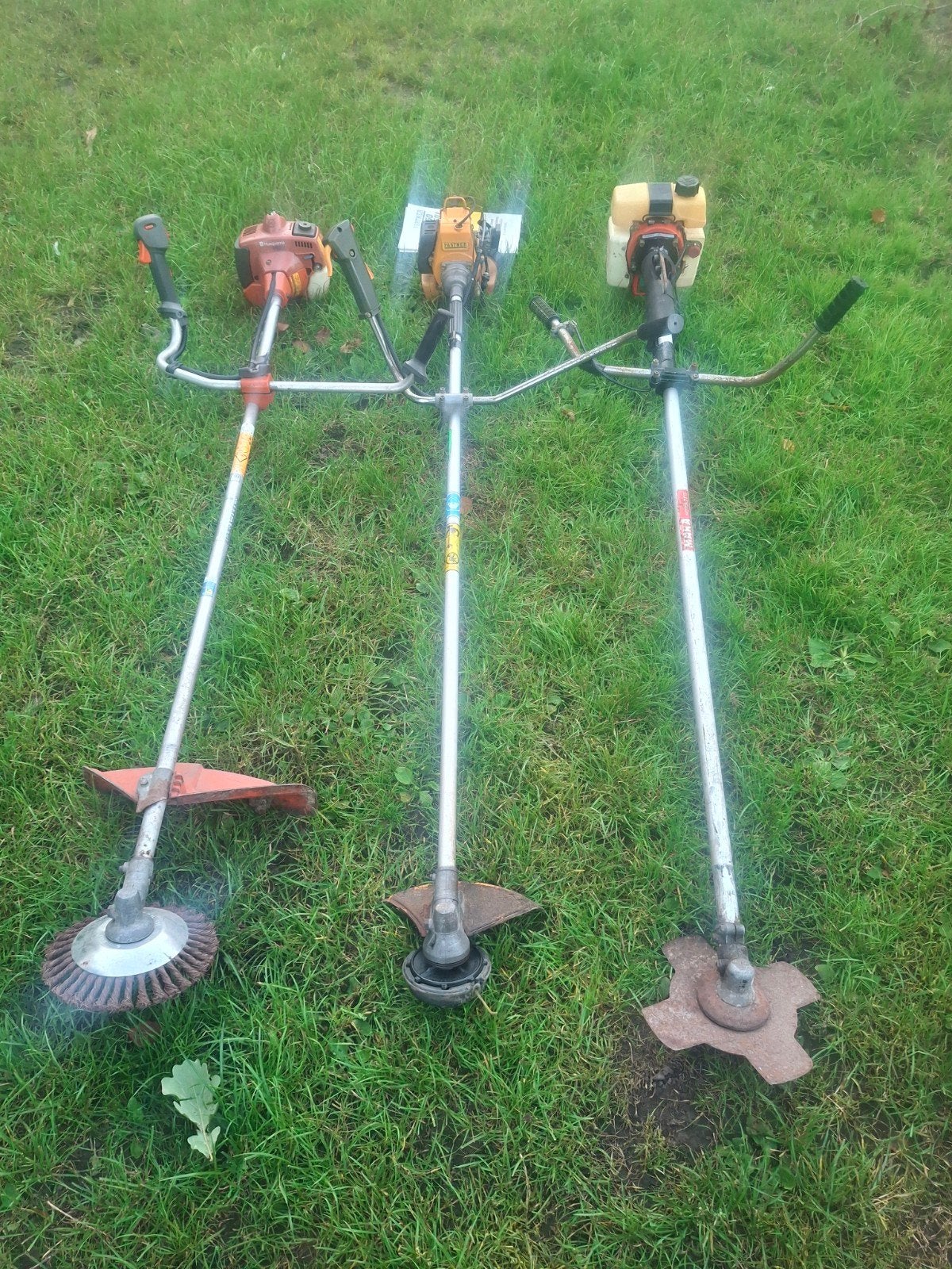 bosmaaiers 3 stuks 1 koop, Ophalen