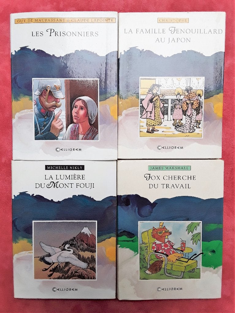 Lot 4 livres illustrés en français - collection Rayon Bleu, Enlèvement, Garçon ou Fille
