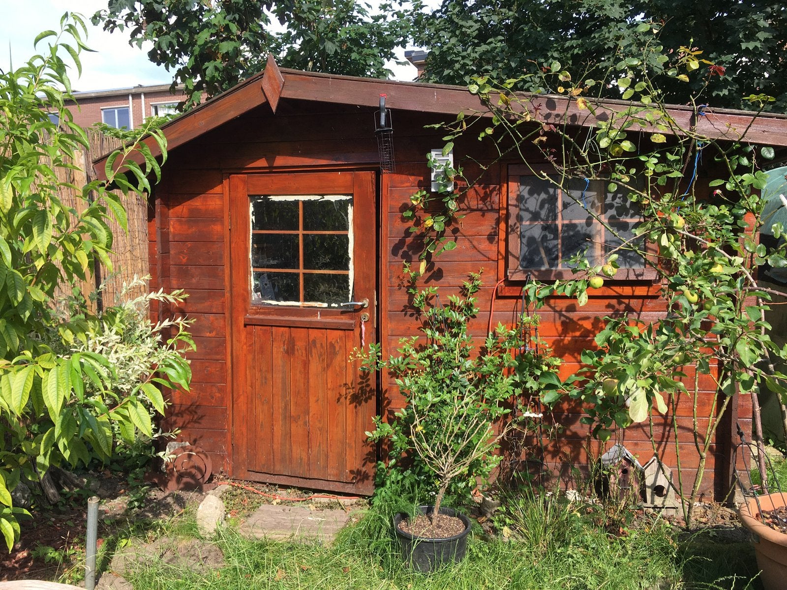 Tuinhuis, Tuin en Terras, Tuinhuizen, Ophalen, Gebruikt, Hout, Tuinhuis