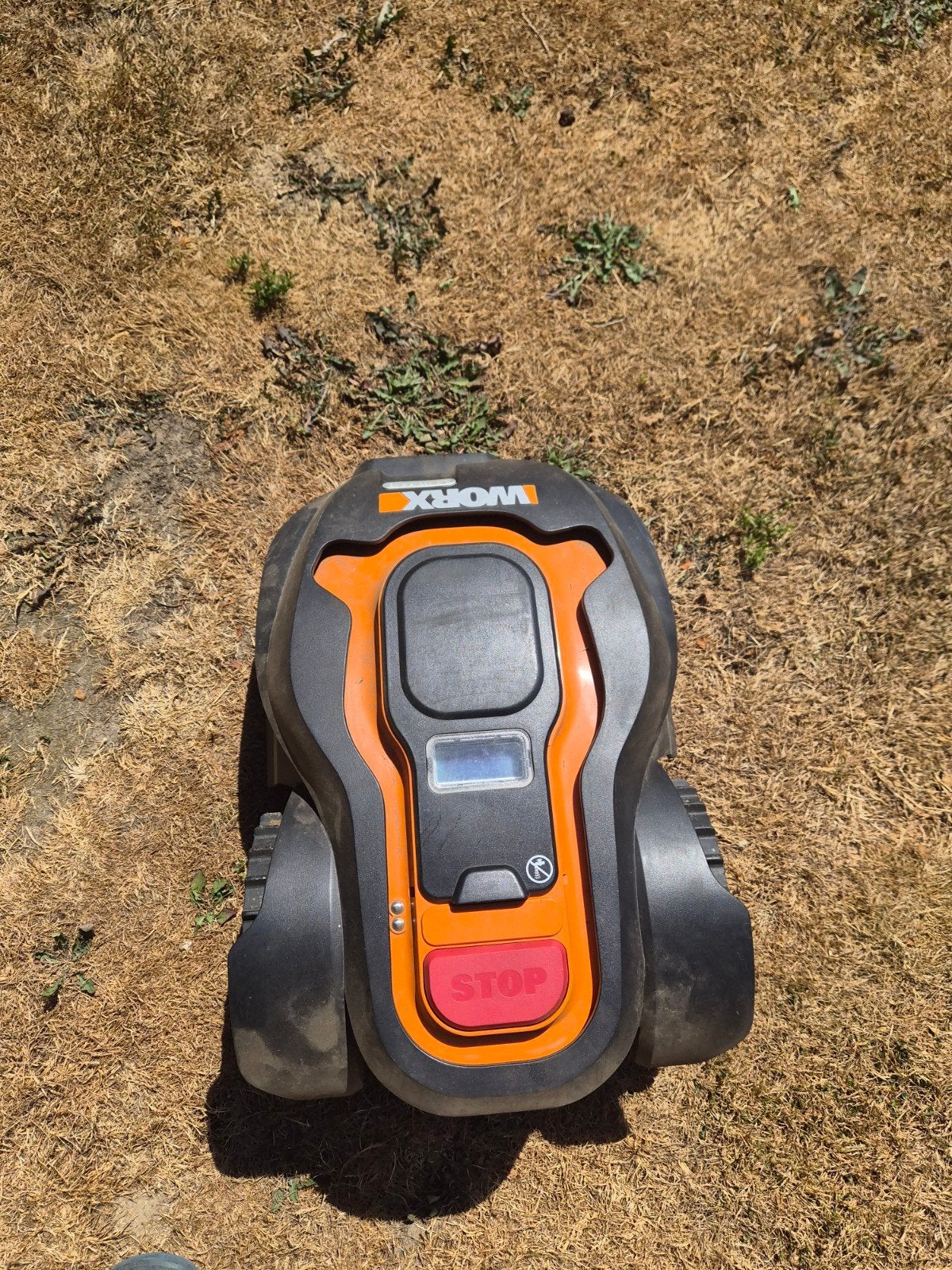 robotmaaier WG791E, Tuin en Terras, Robotmaaiers, Ophalen, Gebruikt, Met regensensor, 20 tot 25 cm
